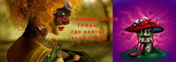 сатива Алексеевка