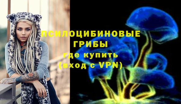 apvp Абинск