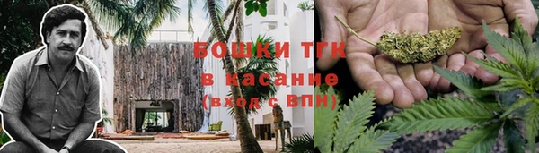 мет Алексин