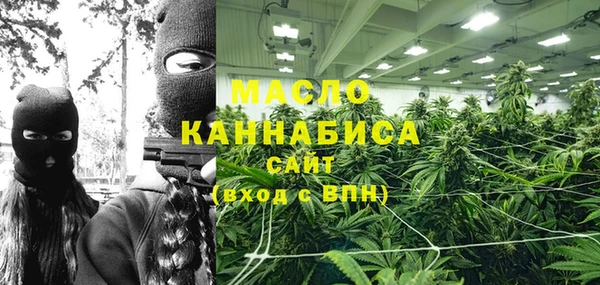 мет Алексин