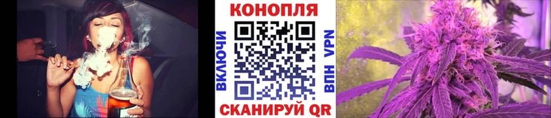 Шишки марихуана семена  ОМГ ОМГ ссылки  Циолковский  купить  цена 